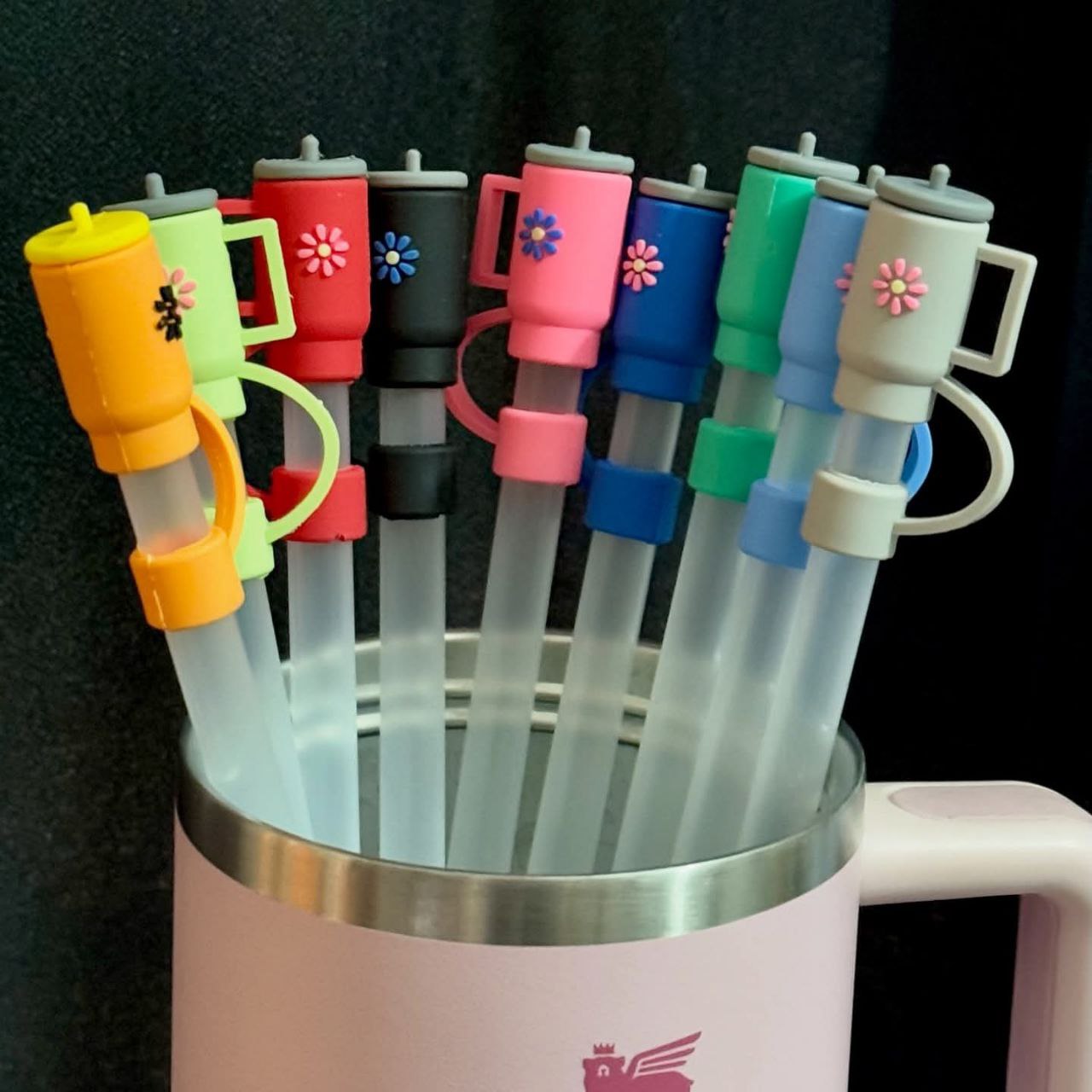 Stanley Straw + Topper Set (Cute & Functional Combo)