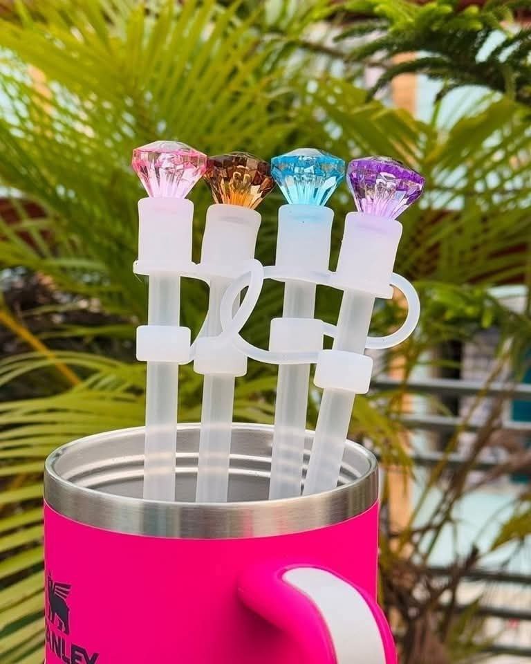 Stanley Straw + Topper Set (Cute & Functional Combo)