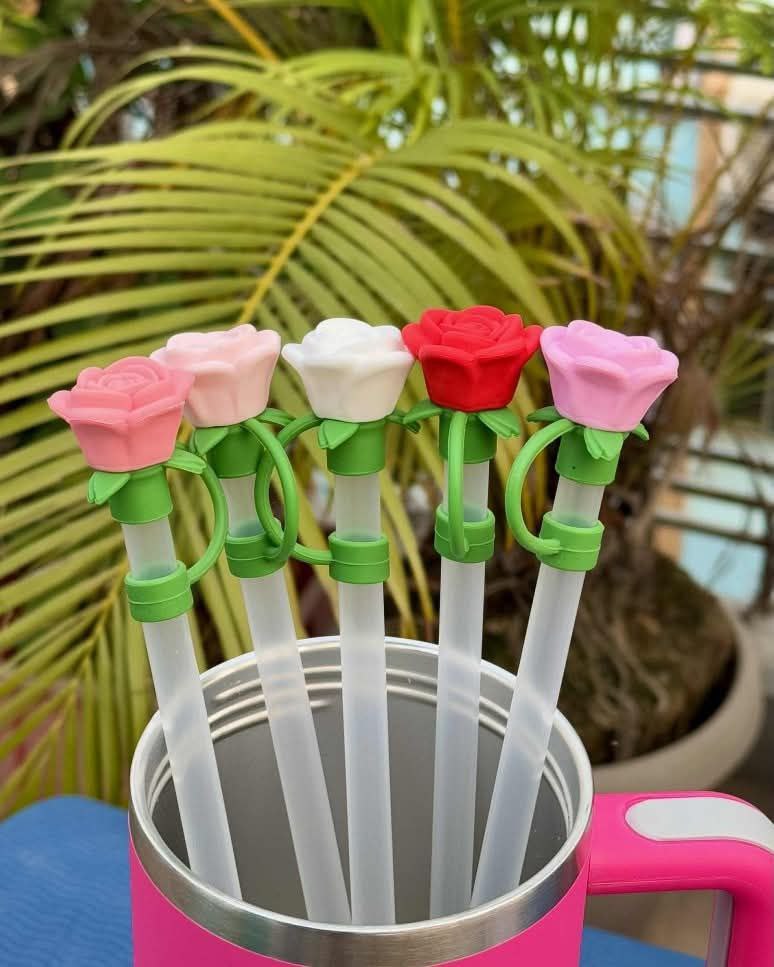 Stanley Straw plus Topper Set (Cute & Functional Combo)